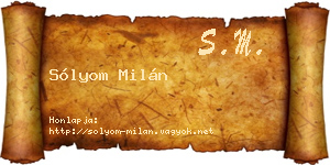 Sólyom Milán névjegykártya